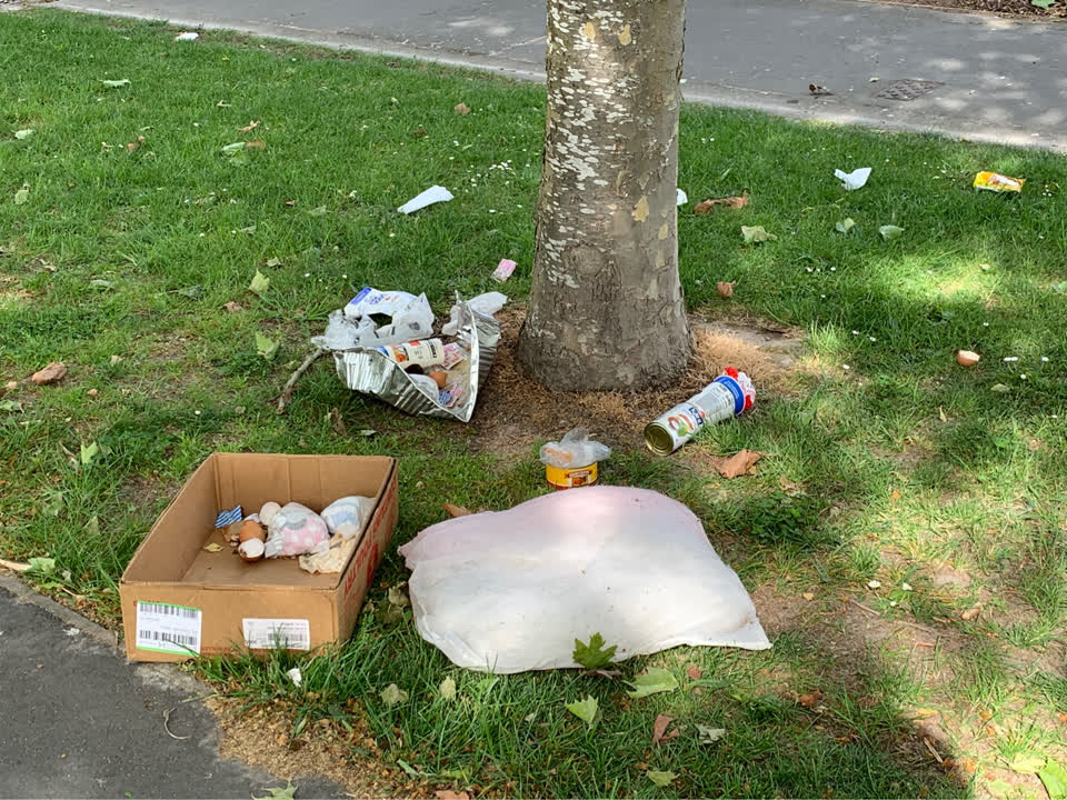 The photograph attached to this litter report