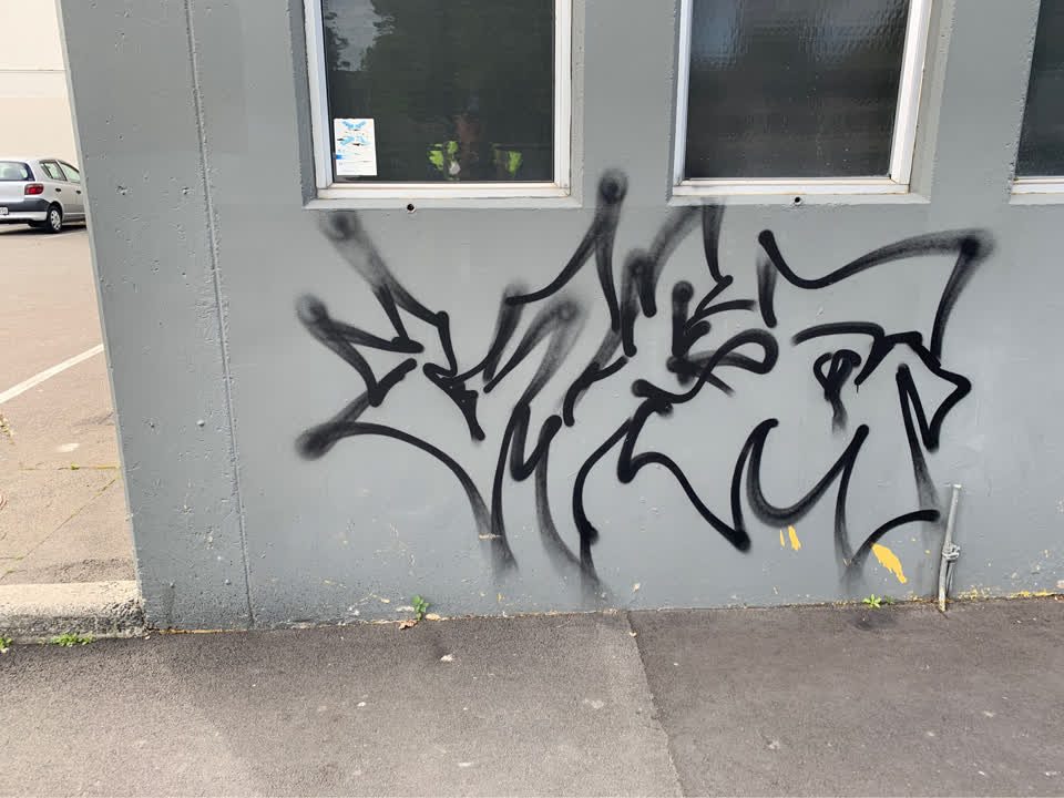 The photograph attached to this graffiti report