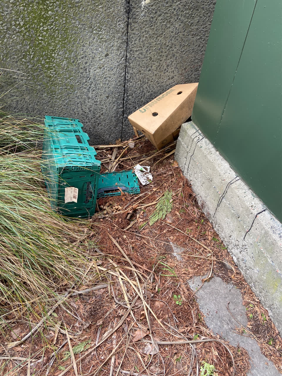 The photograph attached to this dumped rubbish report