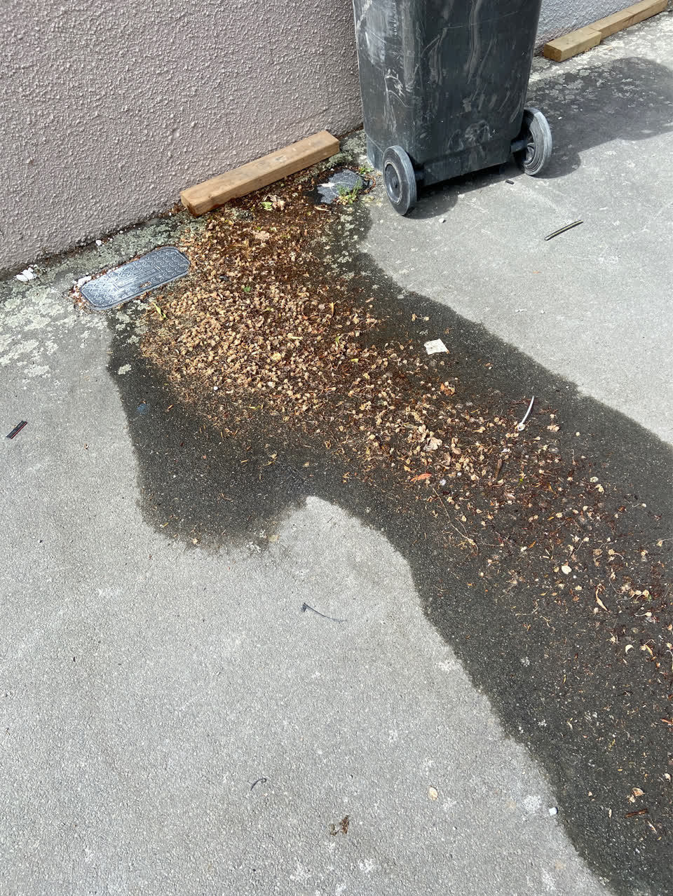 The photograph attached to this water leak report