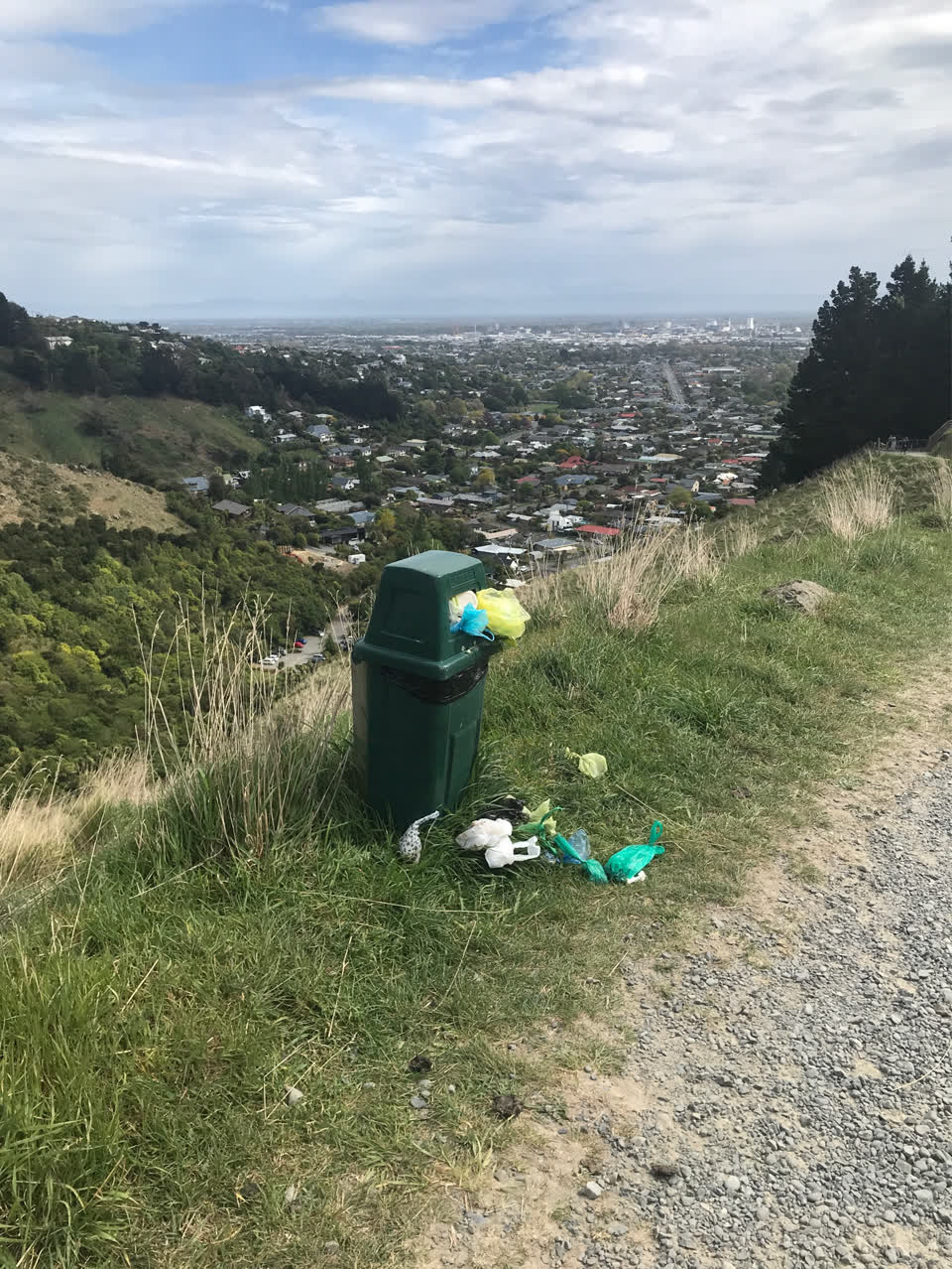 The photograph attached to this rubbish and bins - general report