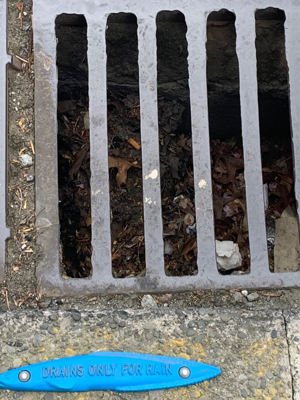 The photograph attached to this sewer - general report
