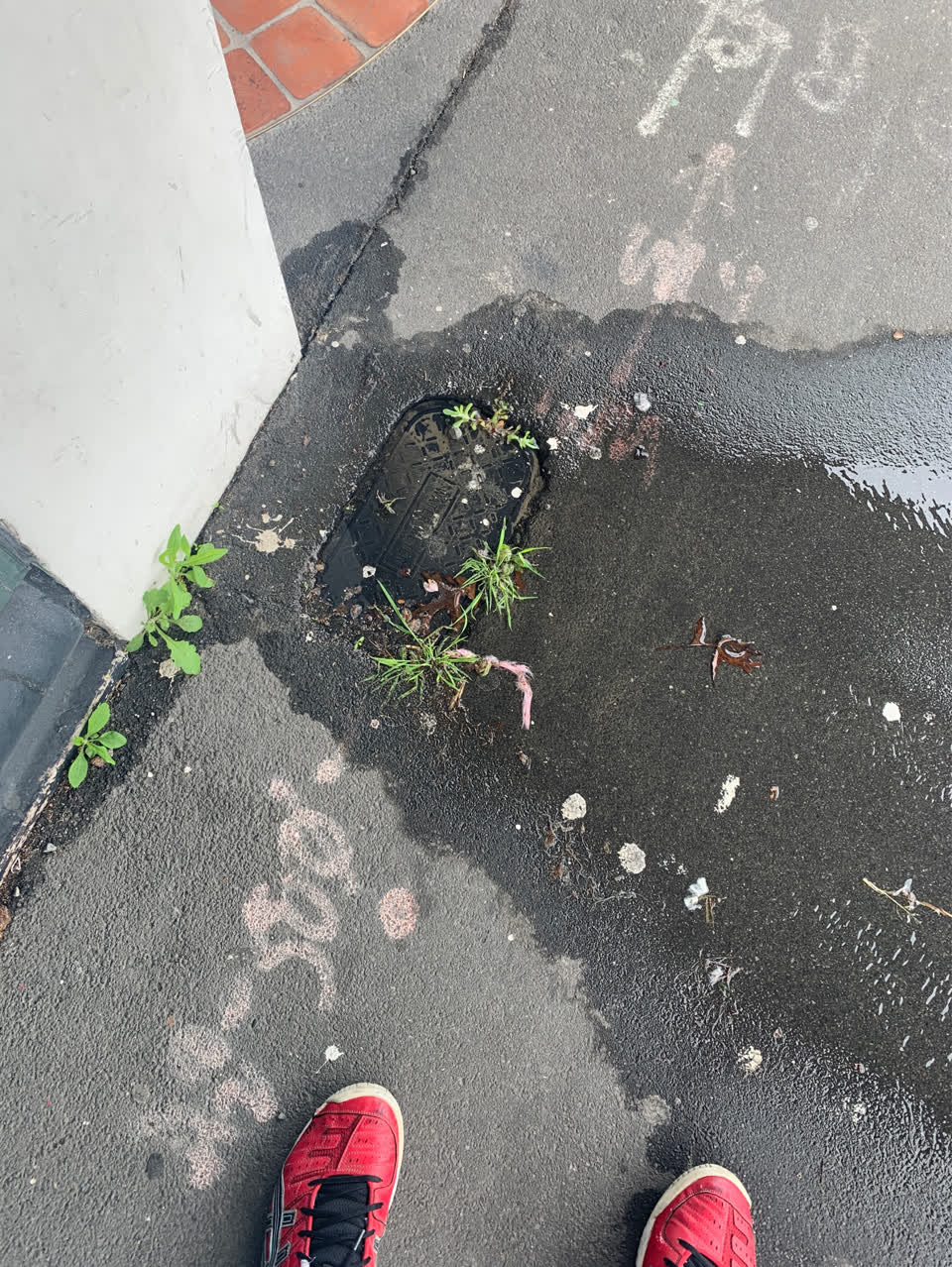 The photograph attached to this sewer - leak / blockage report
