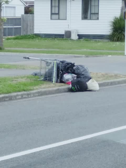 Dumped Rubbish, a report photo