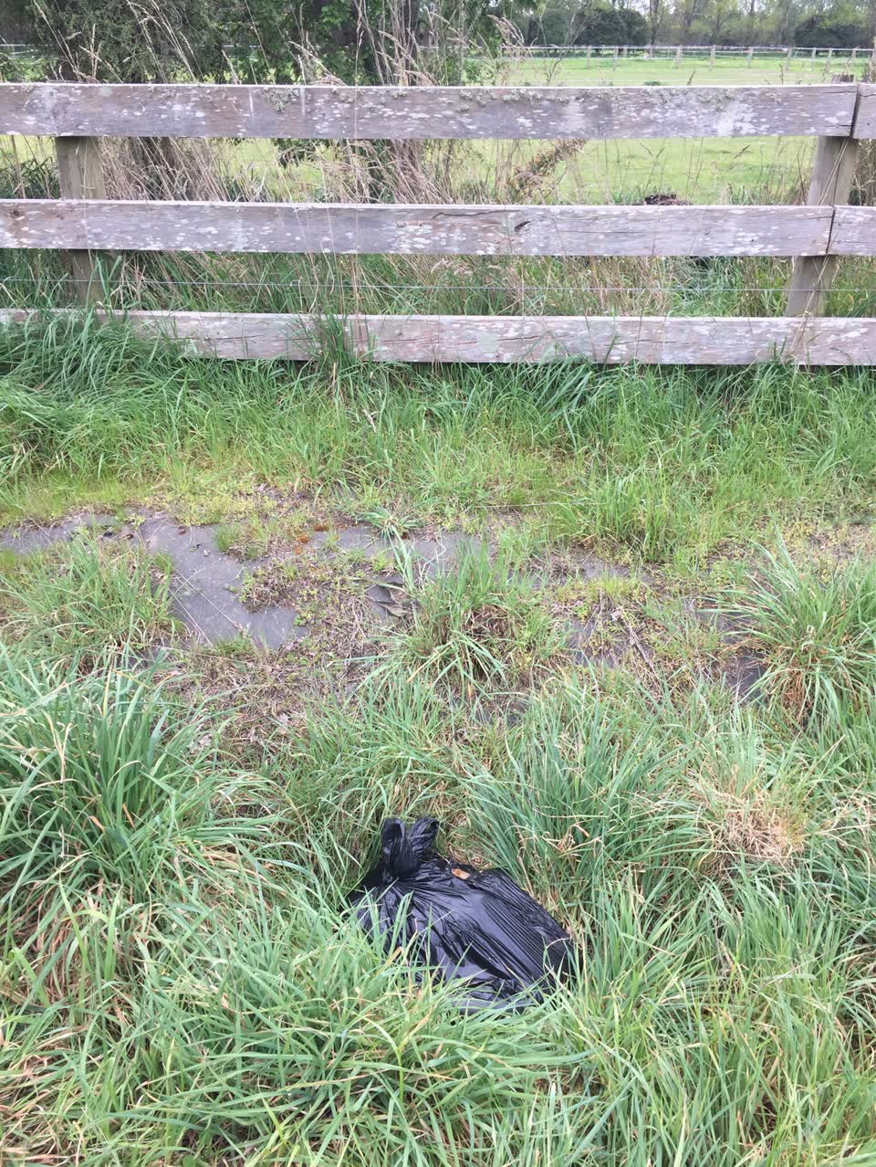 The photograph attached to this dumped rubbish report