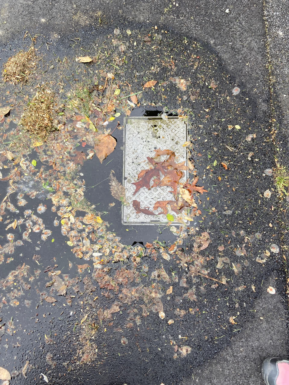 The photograph attached to this water leak report