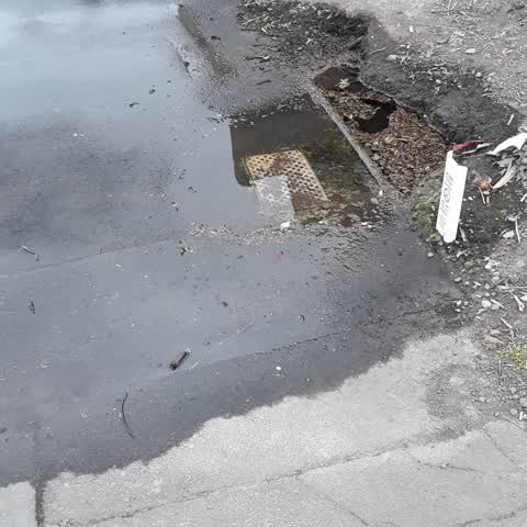 Water Leak, a report photo