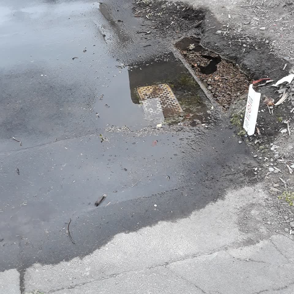 The photograph attached to this water leak report