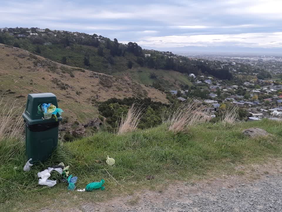The photograph attached to this rubbish and bins - general report