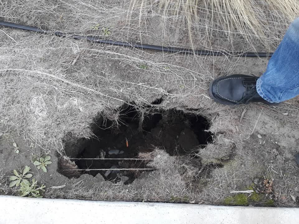 The photograph attached to this parks report