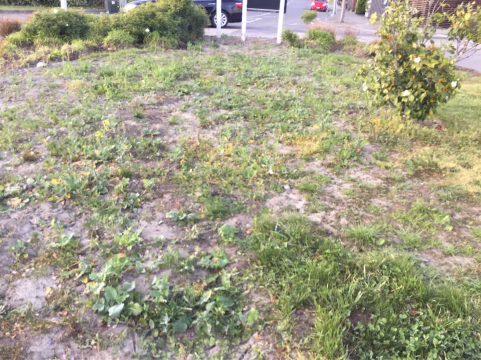The photograph attached to this overgrown vegetation report