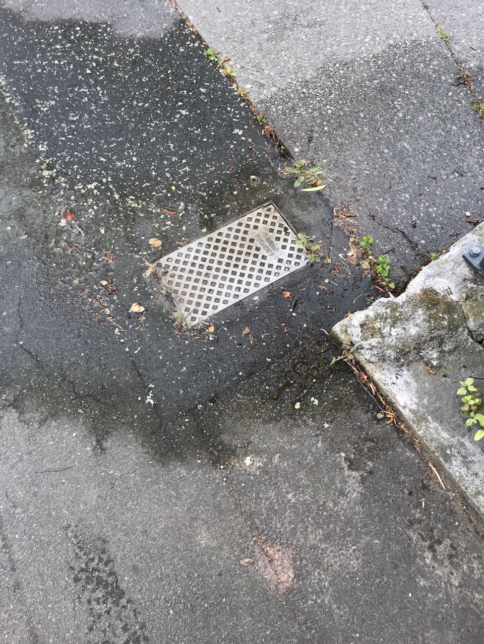 The photograph attached to this water general report
