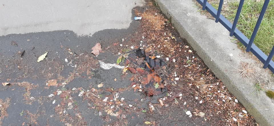 The photograph attached to this water supply report
