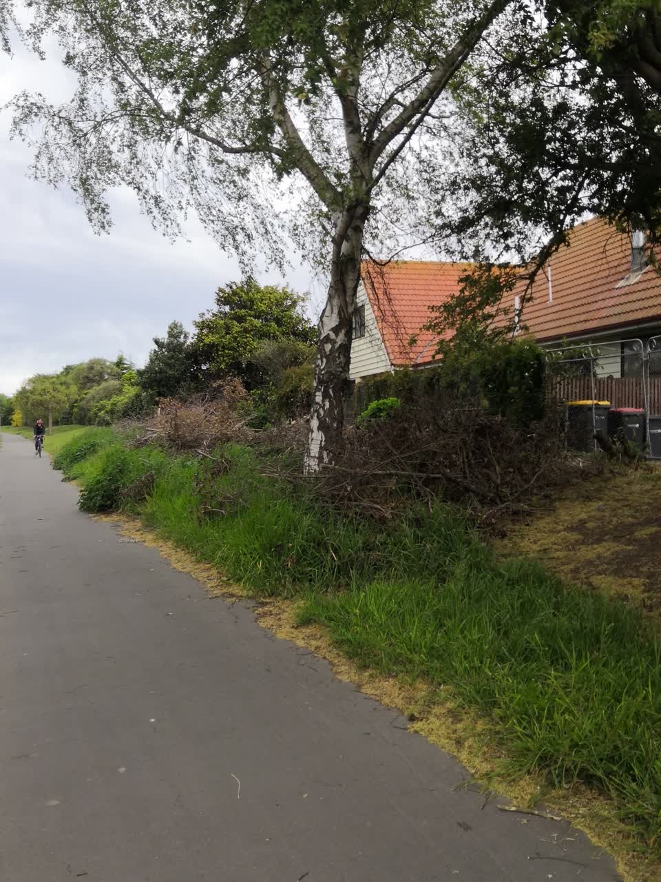The photograph attached to this overgrown vegetation report