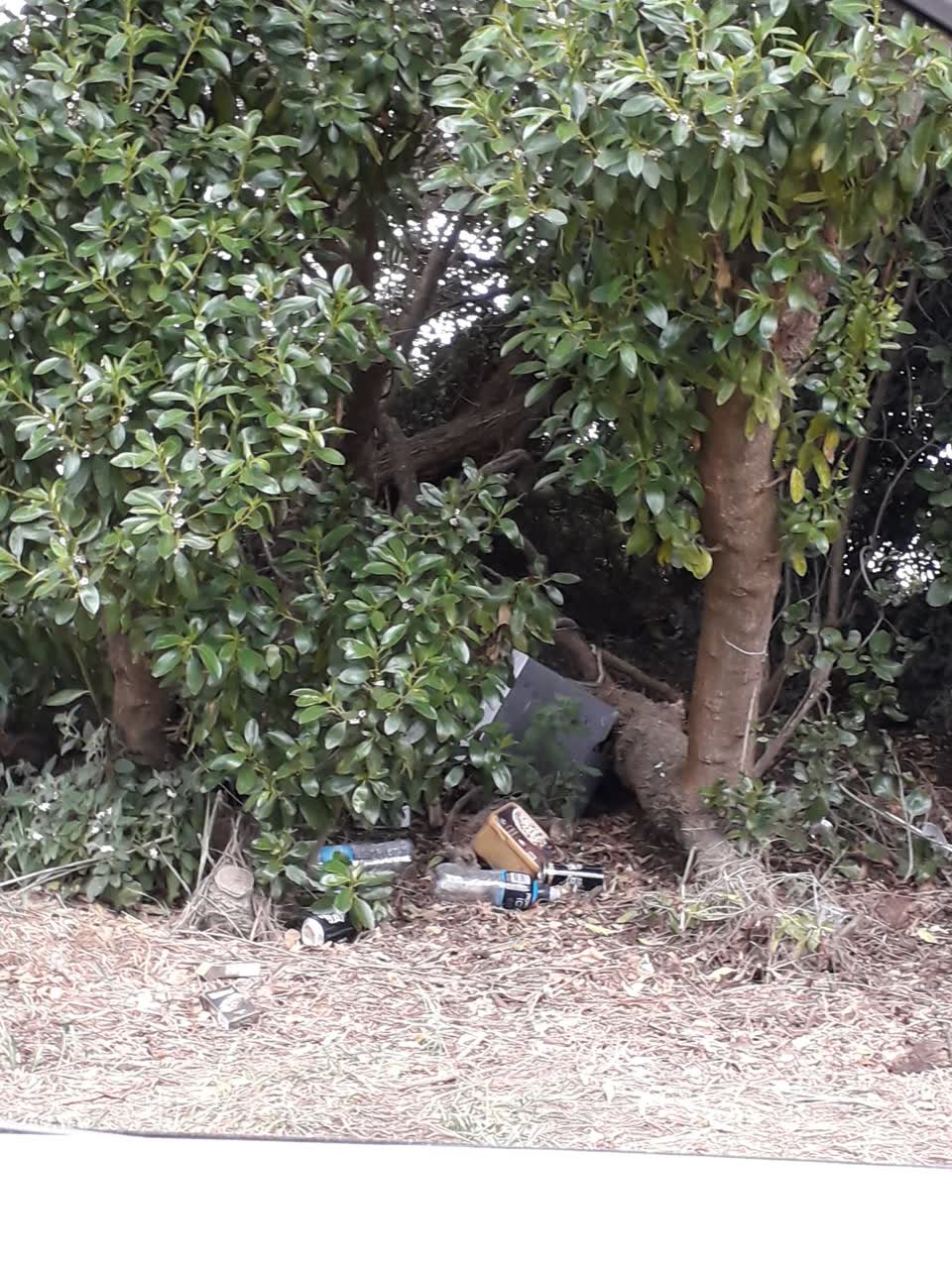 The photograph attached to this dumped rubbish report