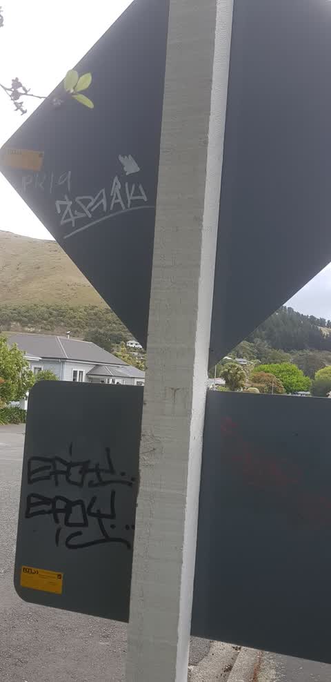 Graffiti, a report photo