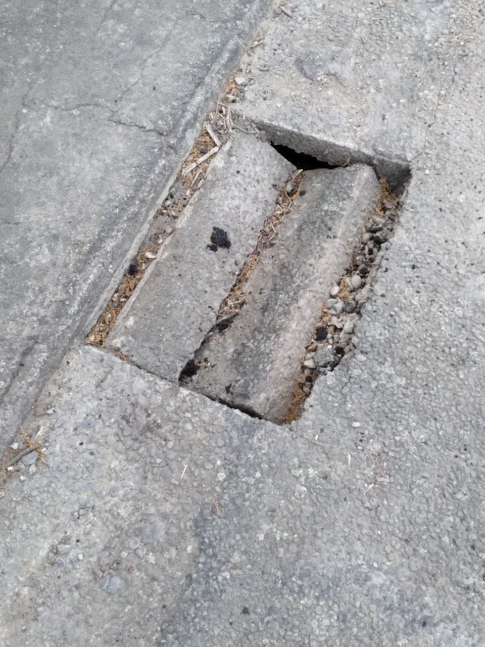 The photograph attached to this damaged road report