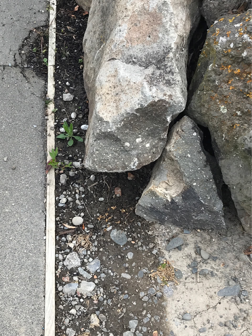 The photograph attached to this water leak report