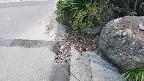 Damaged Road, a report photo