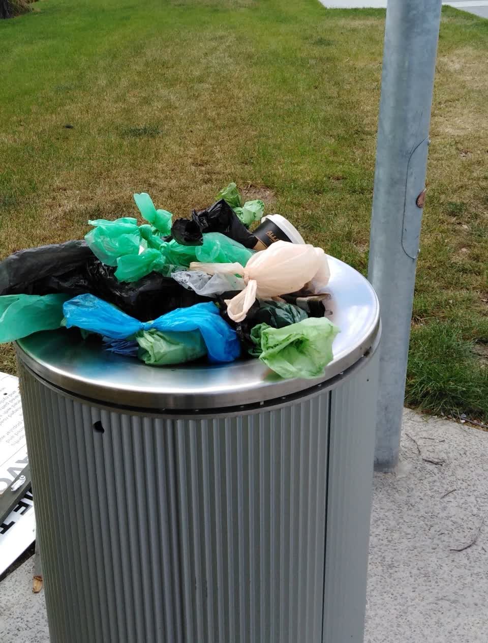 The photograph attached to this rubbish and bins - general report
