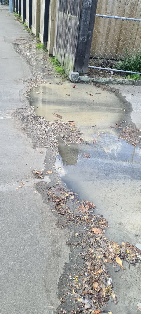 Water Leak, a report photo