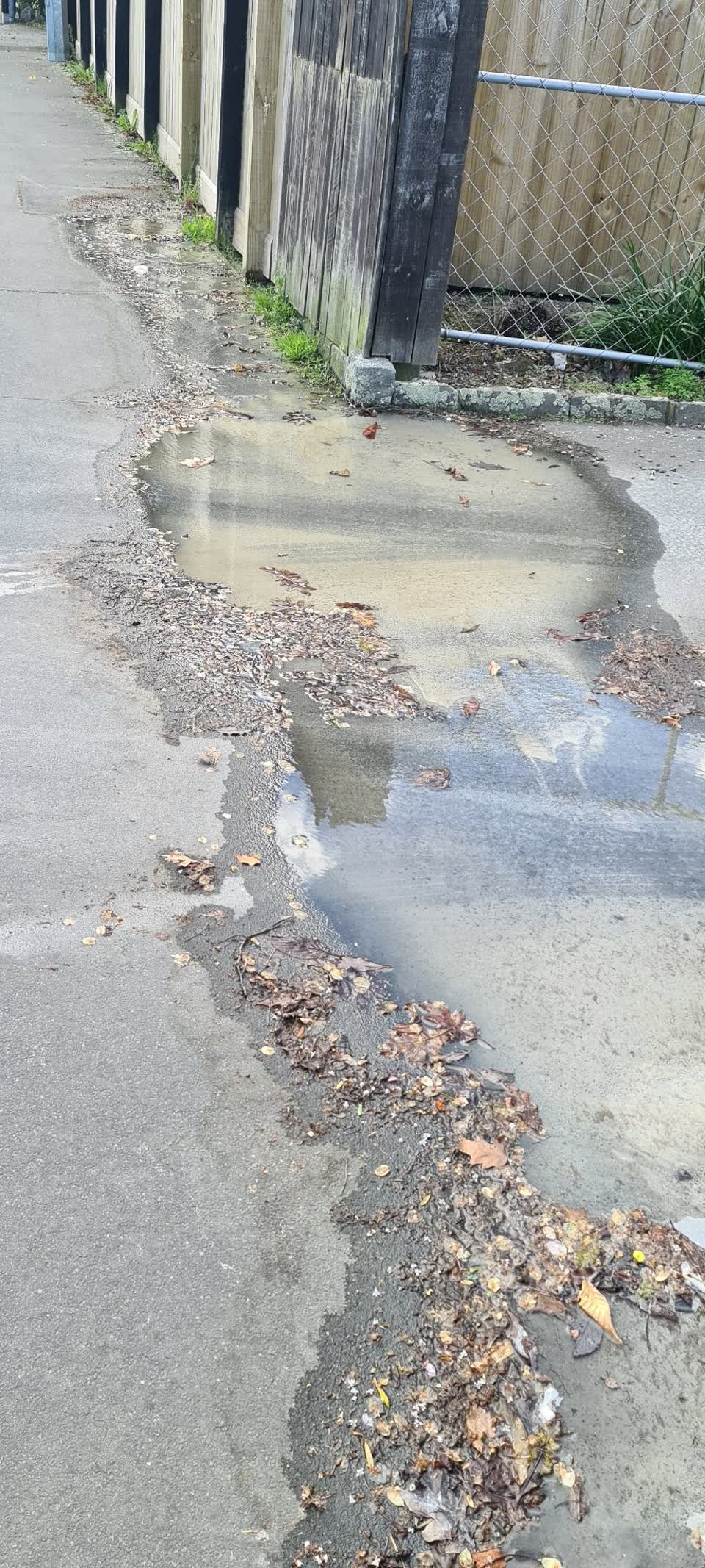 The photograph attached to this water leak report
