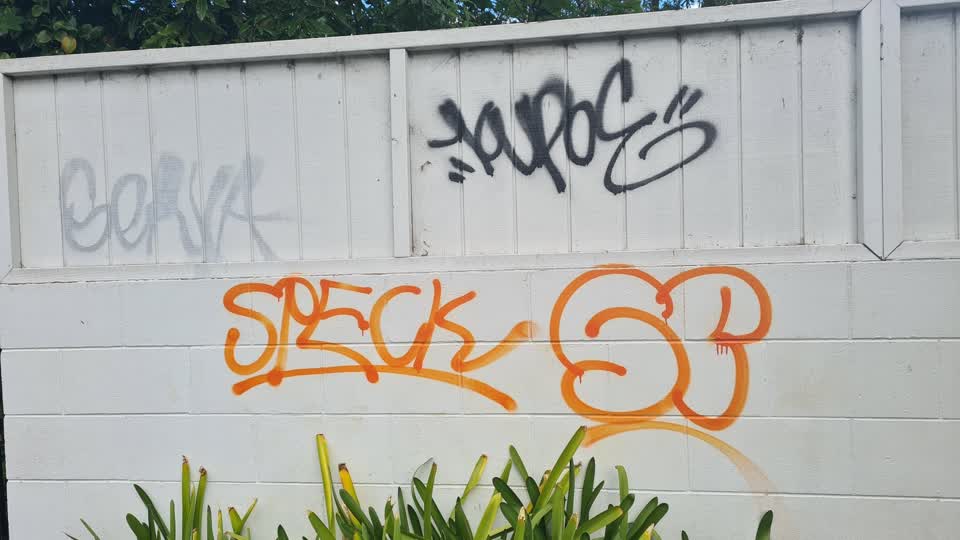 The photograph attached to this vandalism - general report