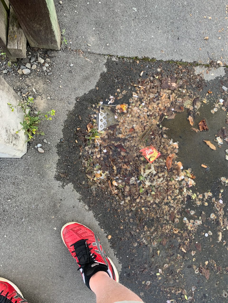 The photograph attached to this water leak report