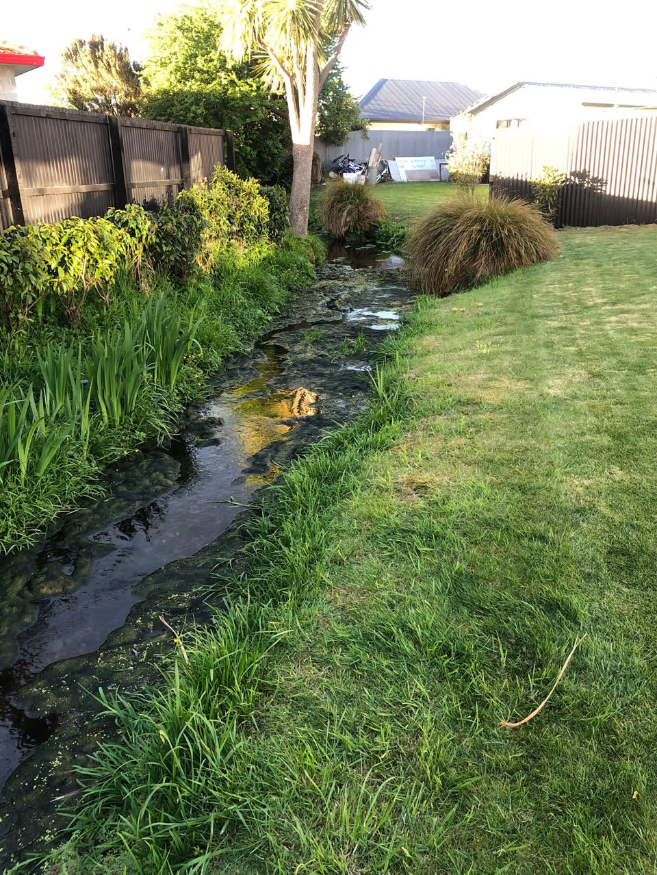 The photograph attached to this overgrown vegetation report