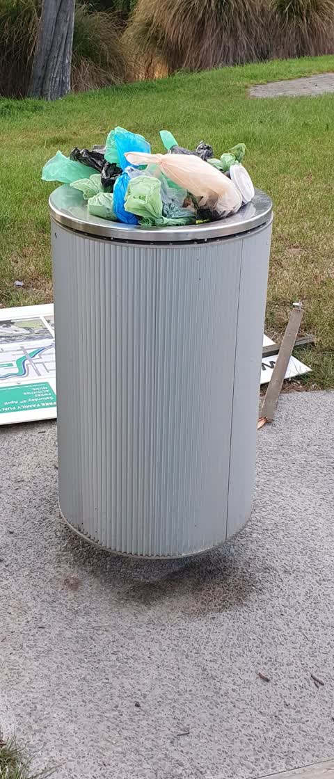Rubbish and Bins - General, a report photo