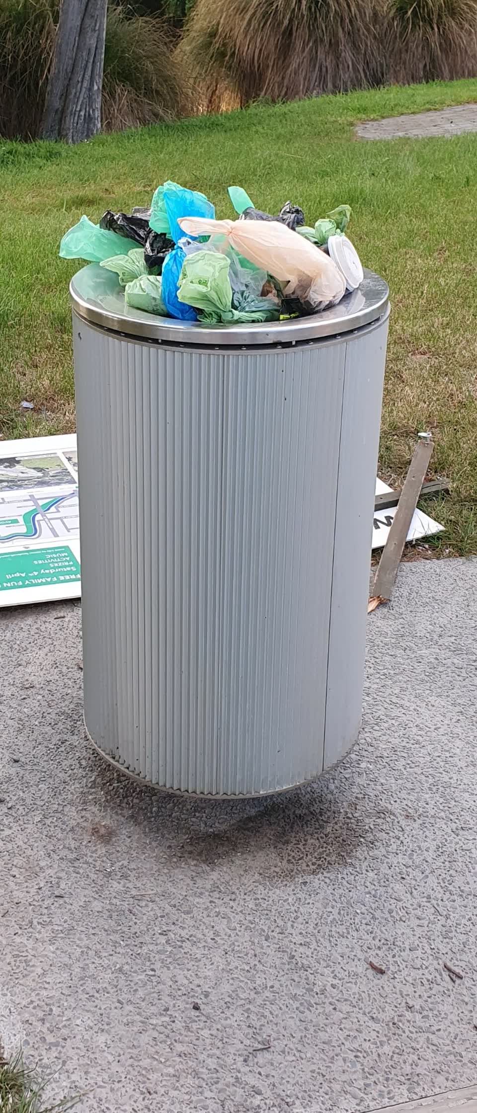 The photograph attached to this rubbish and bins - general report