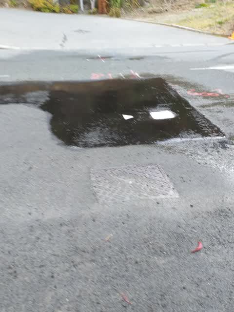 Flooding, a report photo