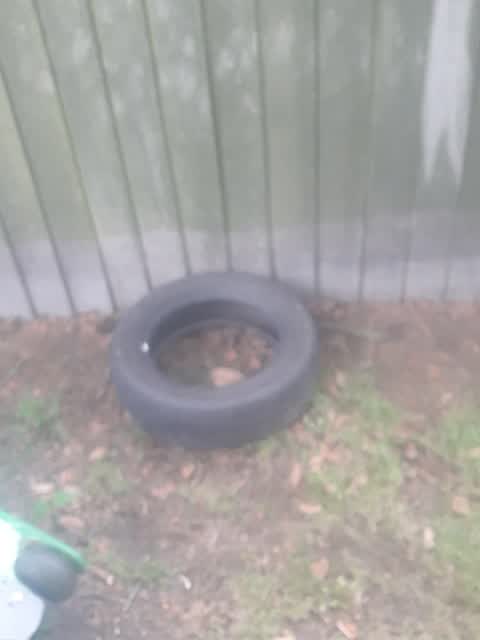 Dumped Rubbish, a report photo