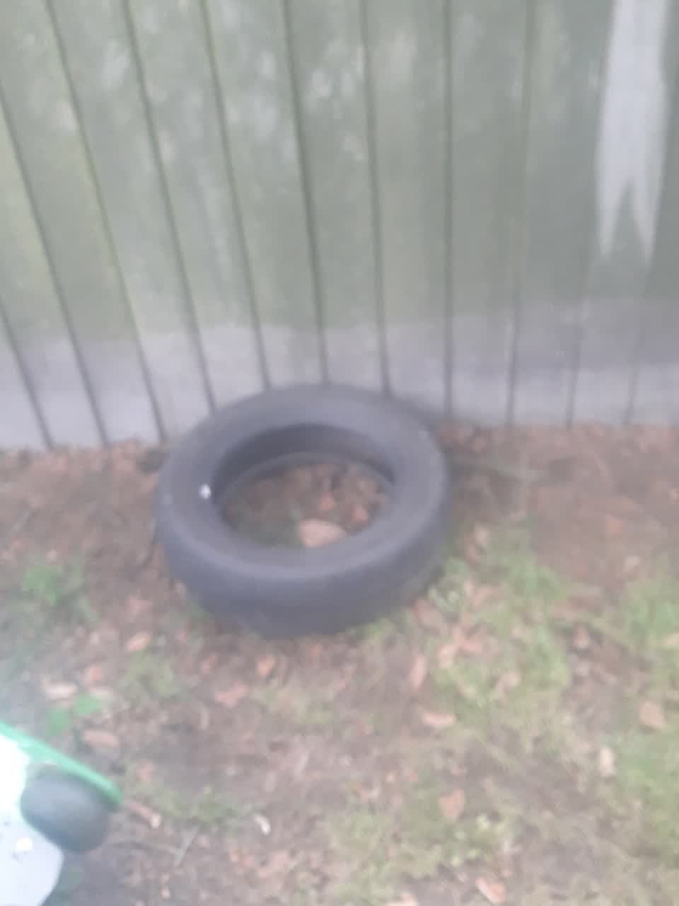The photograph attached to this dumped rubbish report