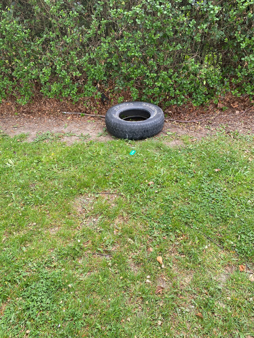 The photograph attached to this dumped rubbish report