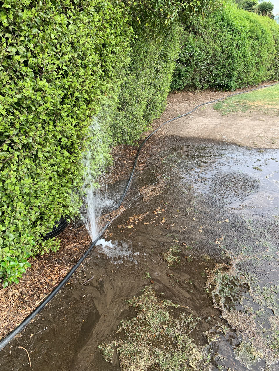 The photograph attached to this parks report