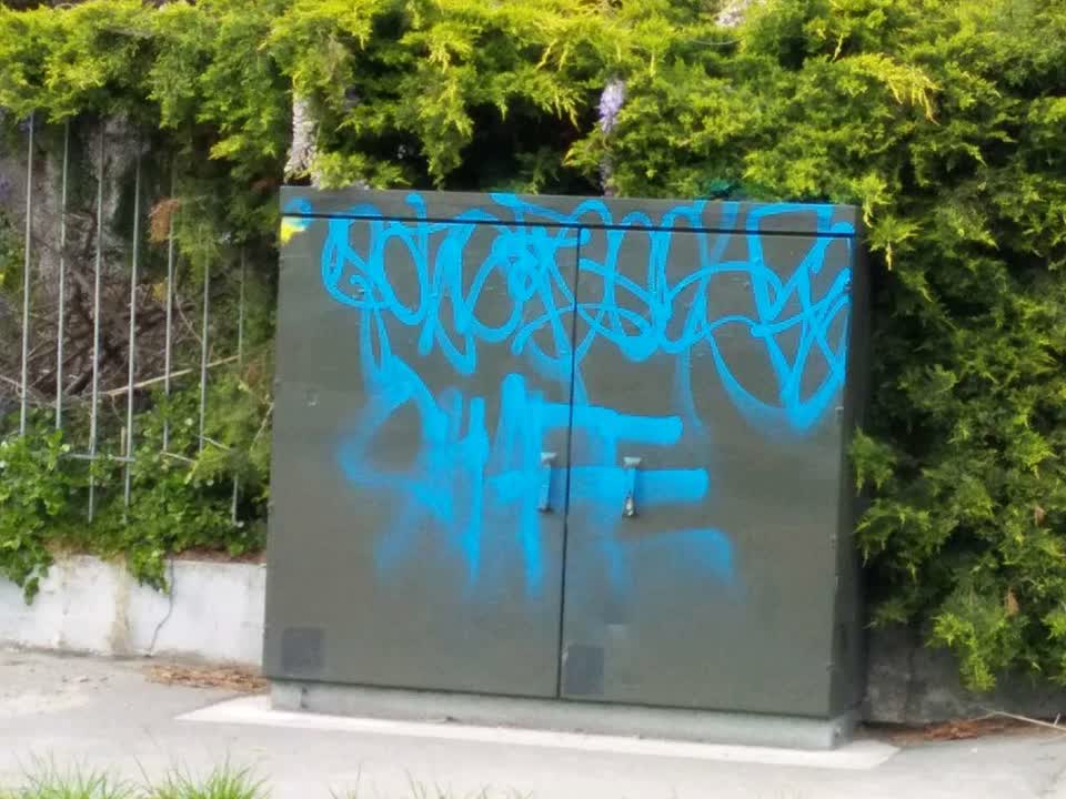 The photograph attached to this graffiti report