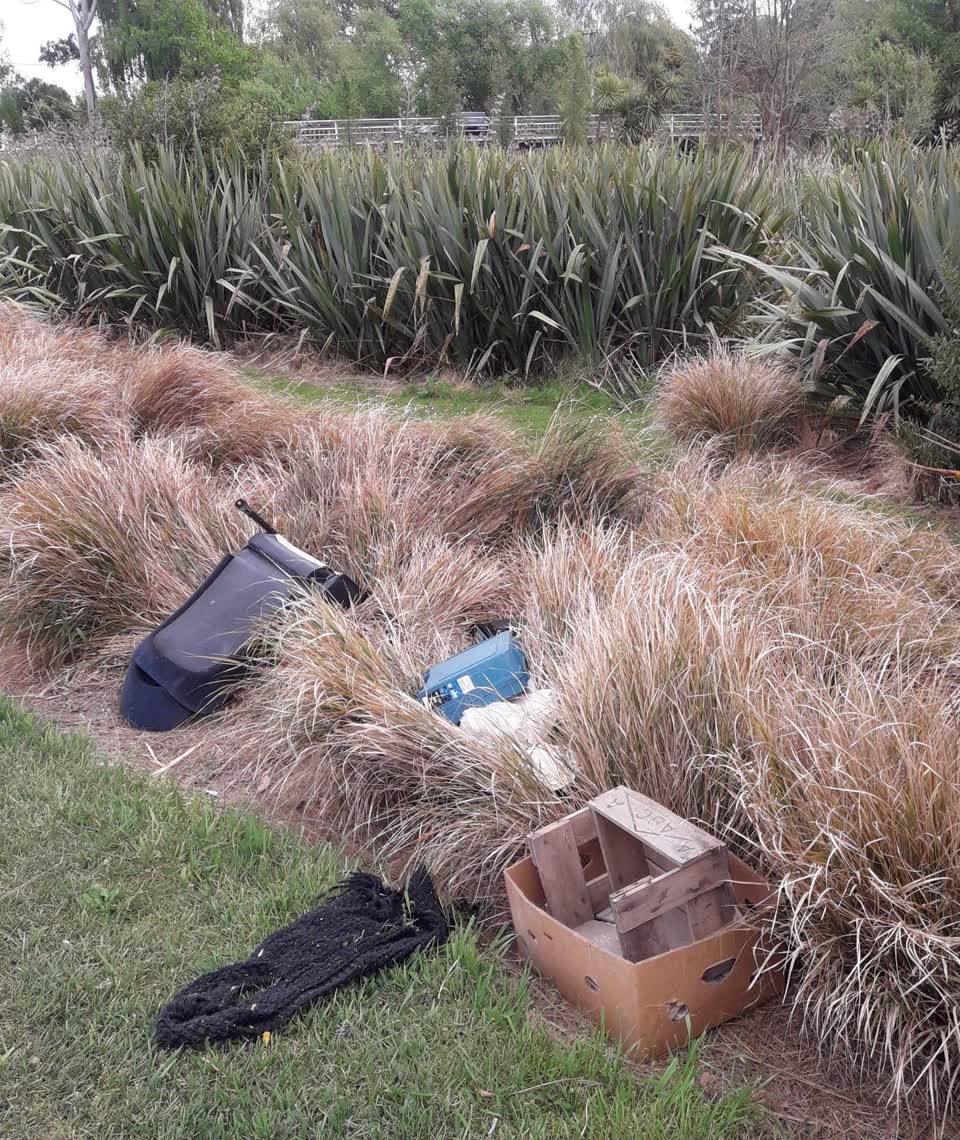 The photograph attached to this parks report