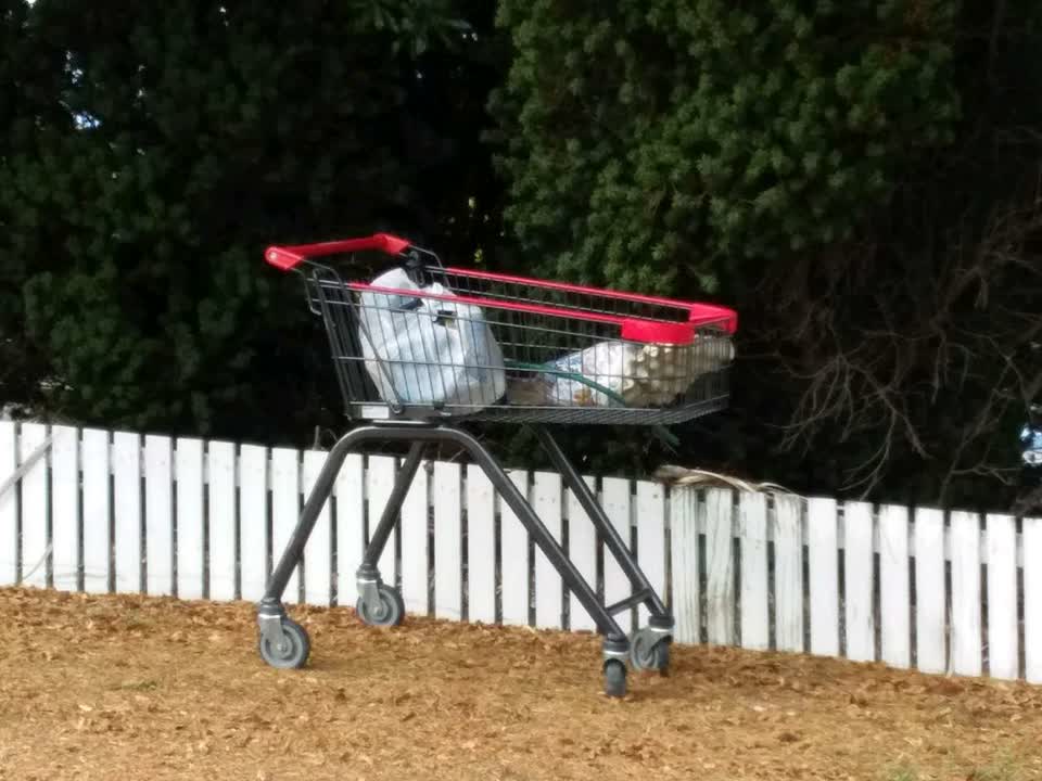 The photograph attached to this general - abandoned trolley report