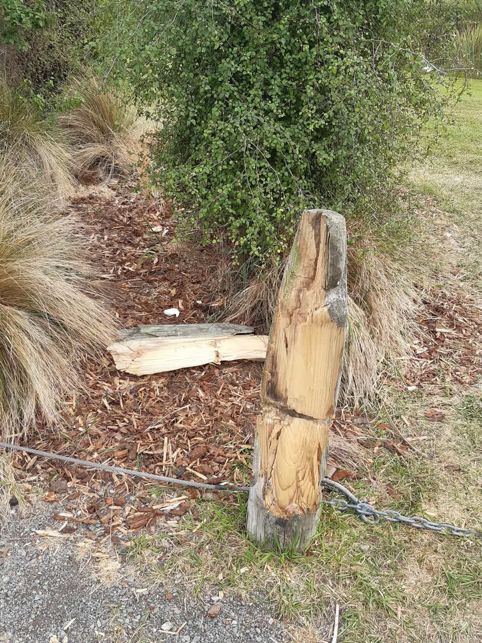 The photograph attached to this vandalism - general report
