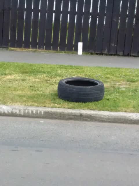 Rubbish and Bins - General, a report photo