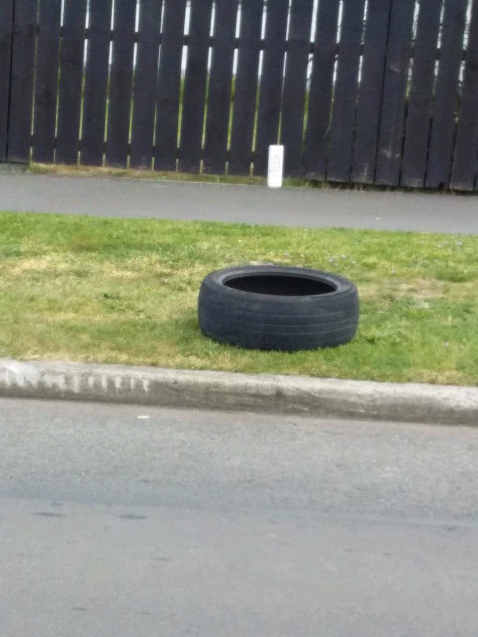 The photograph attached to this rubbish and bins - general report