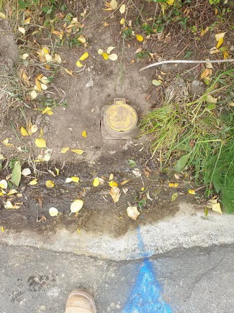 Water Leak, a report photo