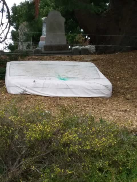 Rubbish and Bins - General — a report photo