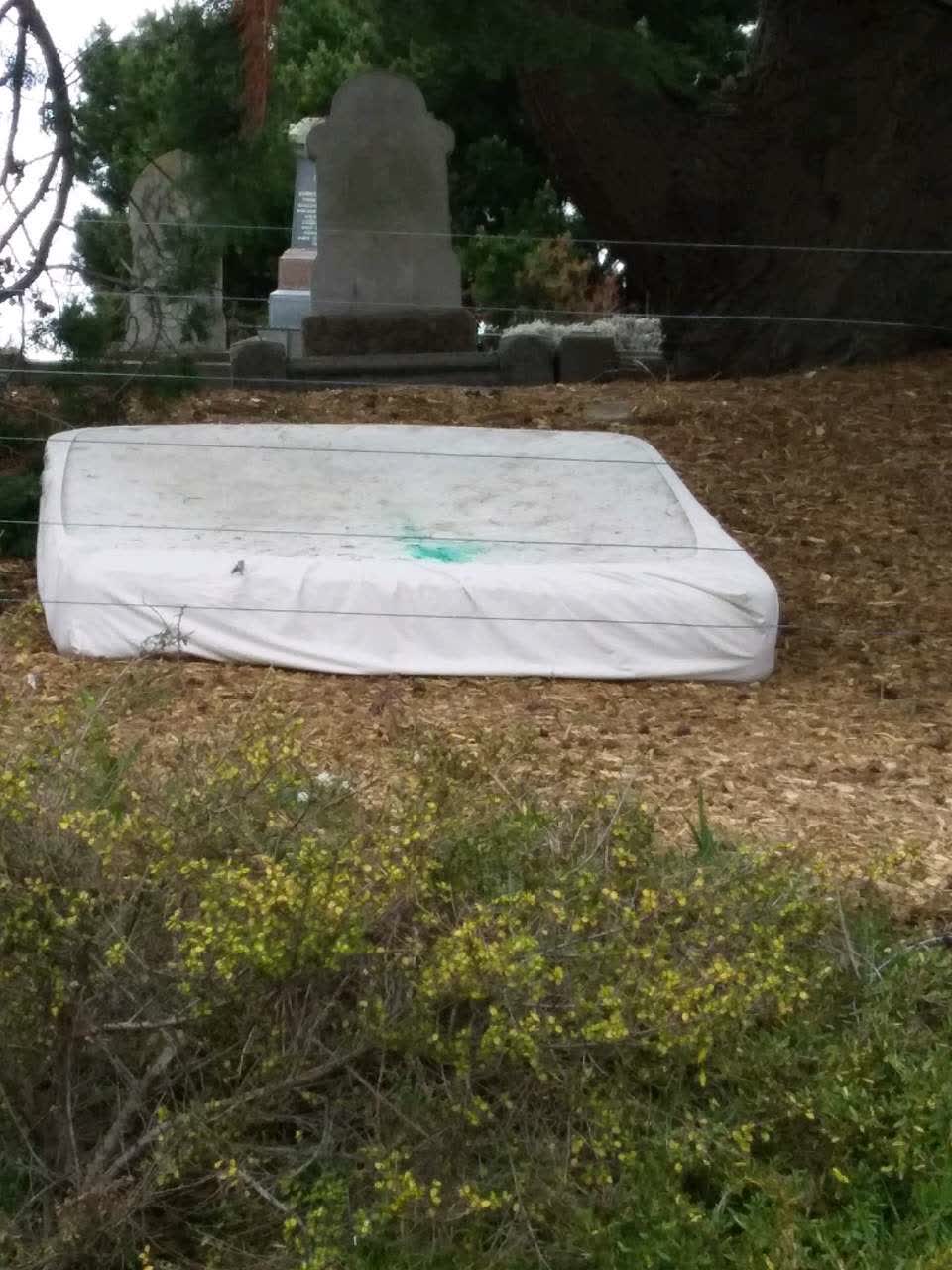 The photograph attached to this rubbish and bins - general report