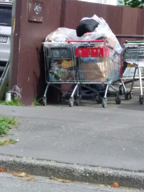 Rubbish and Bins - General — a report photo