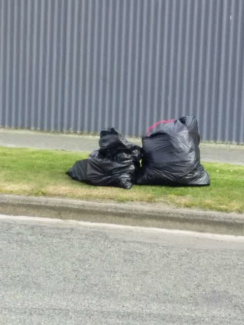 Rubbish and Bins - General, a report photo