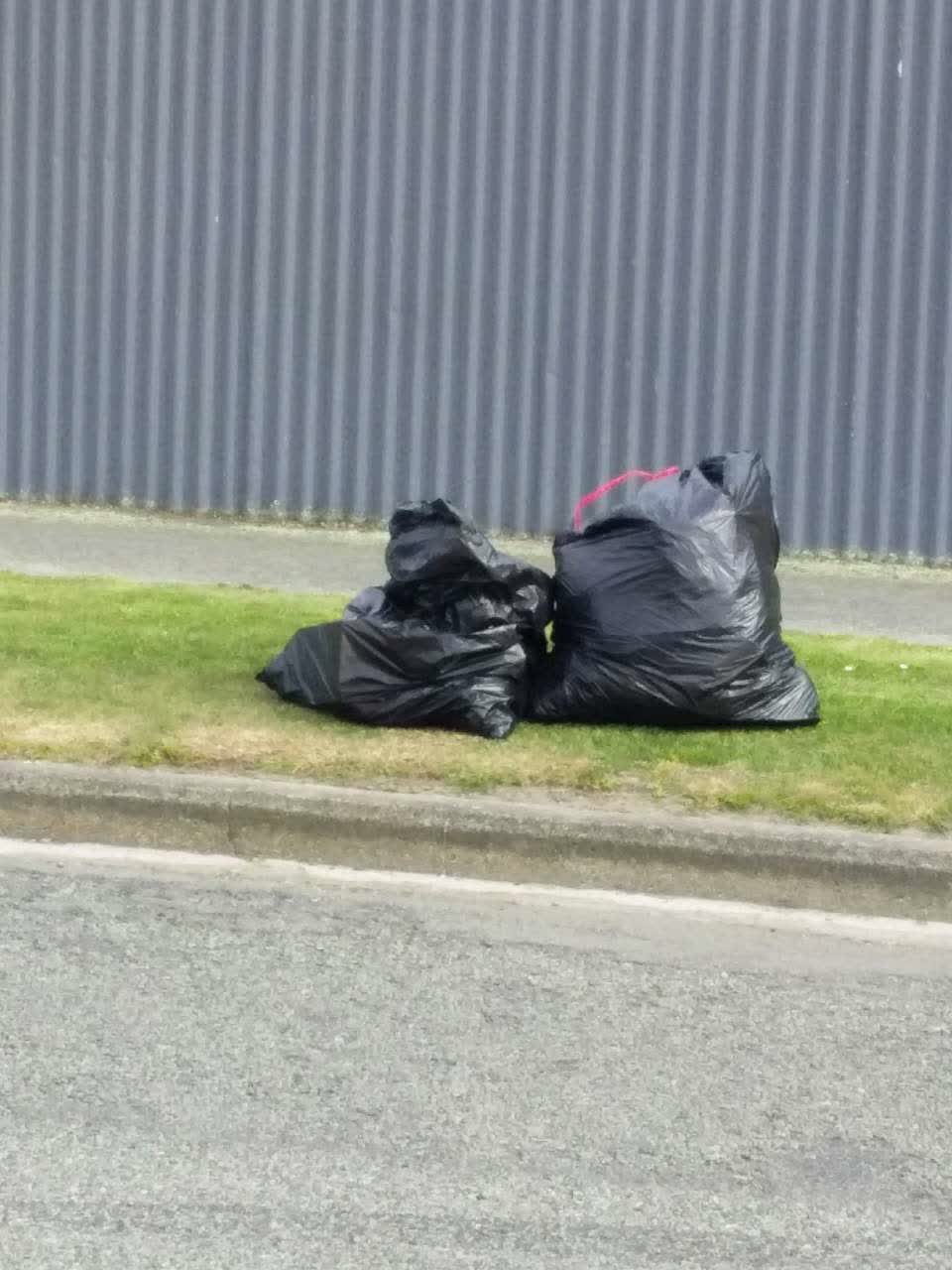 The photograph attached to this rubbish and bins - general report