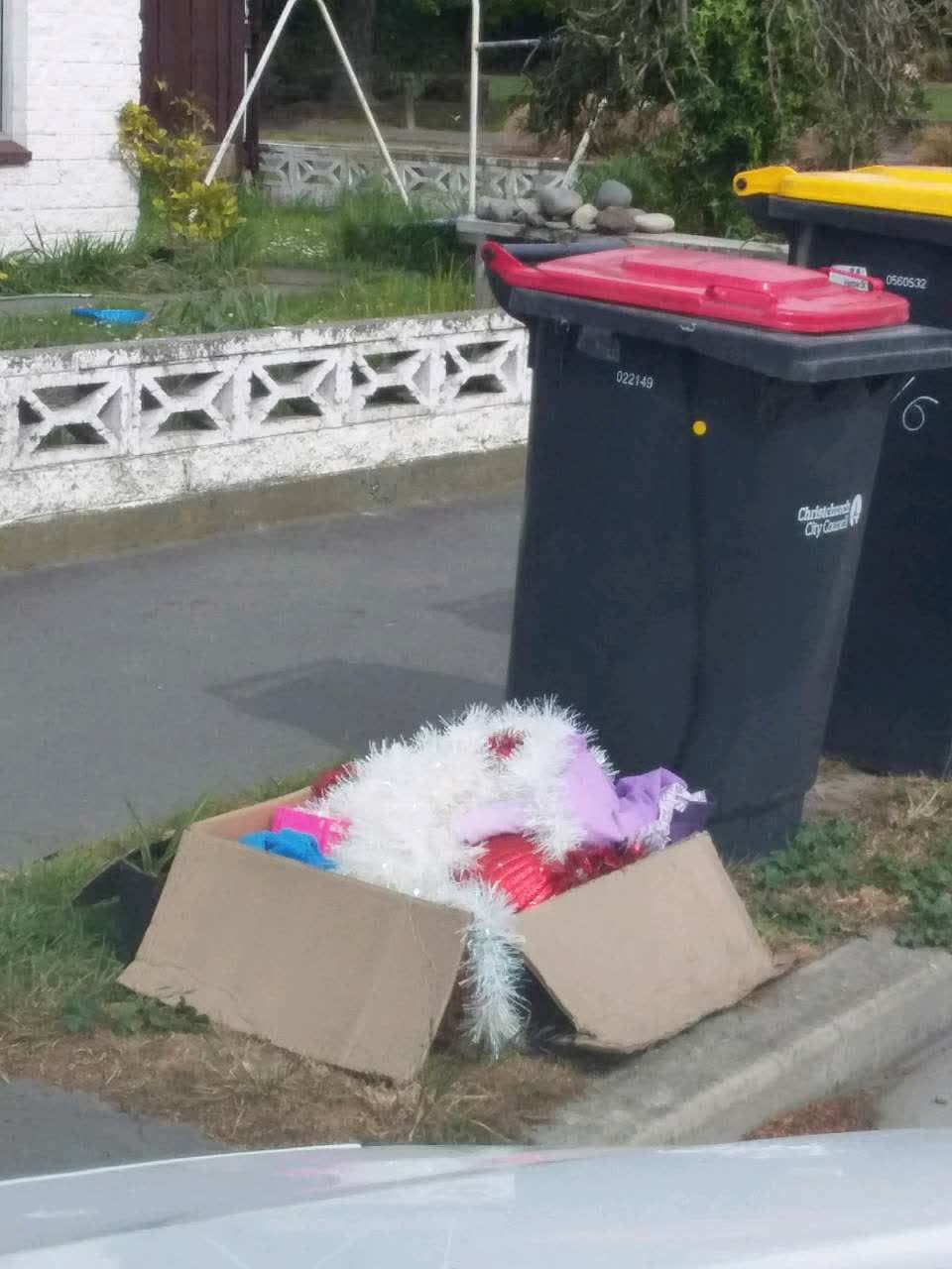 The photograph attached to this rubbish and bins - general report