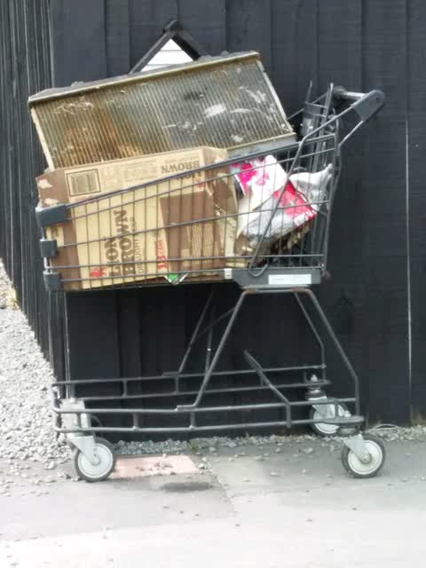 Rubbish and Bins - General — a report photo